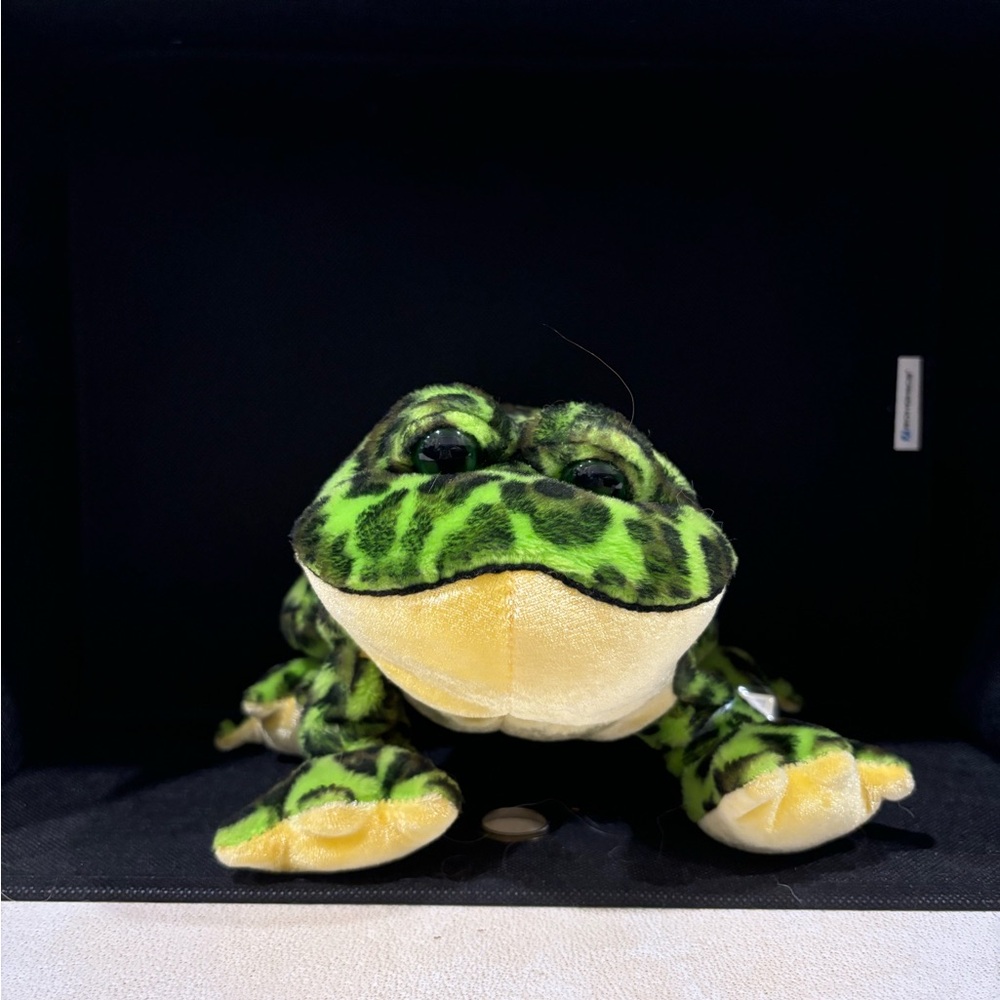 Webkinz Bull Frog with tag. HM114